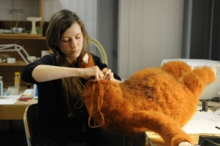 oh_willy_productie_02